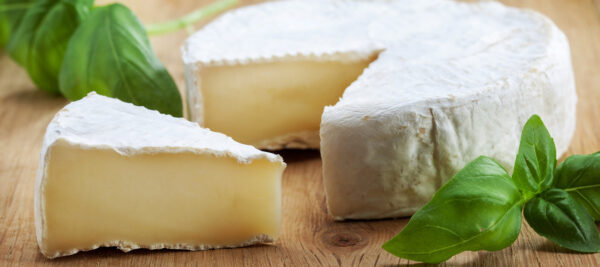 Soft Homemade Cheese